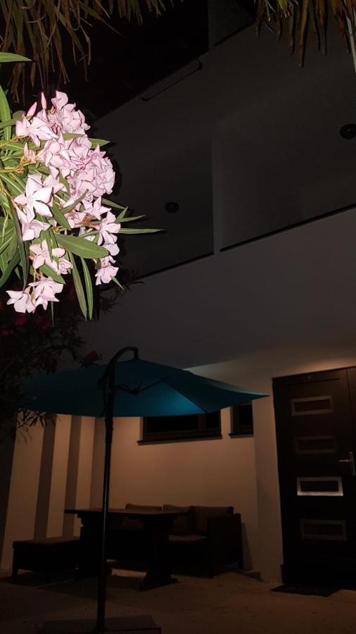 Apartments Star With Pool 比奥格勒·纳·莫鲁 外观 照片