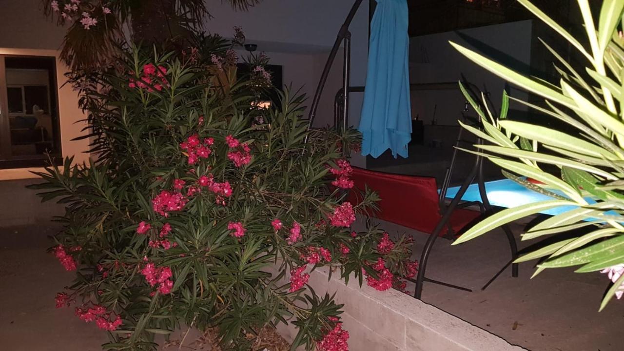 Apartments Star With Pool 比奥格勒·纳·莫鲁 外观 照片