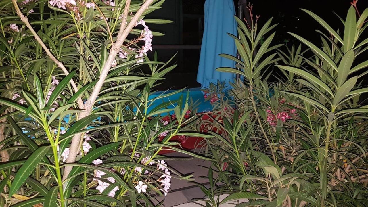 Apartments Star With Pool 比奥格勒·纳·莫鲁 外观 照片
